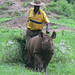 William Rhino Photo 2