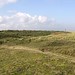 Lindsey Marsh Photo 6