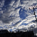 Chelsea Cloud Photo 9