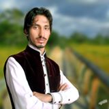 Mohammad Mehtab Photo 3