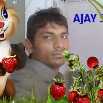 Ajay Sevak Photo 8