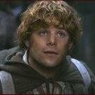 Samwise Gamgee Photo 3