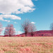 Storm King Photo 8