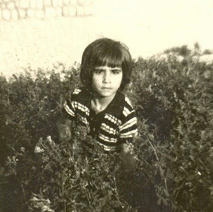 Alireza Mansoori Photo 13