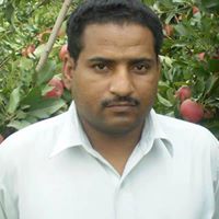 Shahbaz Tariq Photo 17