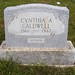 Cynthia Marker Photo 4