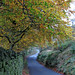 Autumn Greenfield Photo 2