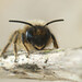 Andrena Brown Photo 3