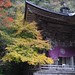 Autumn Temple Photo 9