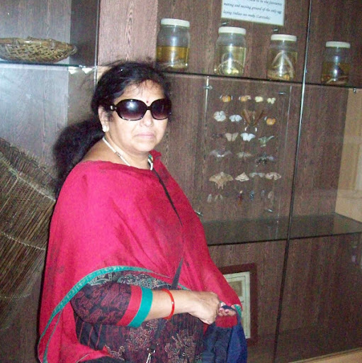 Renuka Menon Photo 18