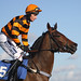 Daryl Jacob Photo 7