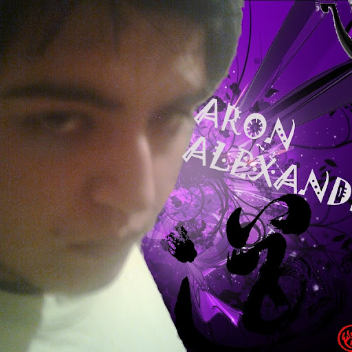 Aron Alexander Photo 13