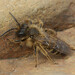 Andrena Brown Photo 4