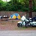 Harley Camp Photo 6