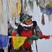 Kaji Sherpa Photo 6