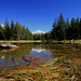 Dana Pond Photo 9