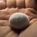 Crystal Tribble Photo 1