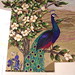 Judy Peacock Photo 14