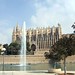 Palma Di Photo 5