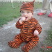 Ben Tiger Photo 4