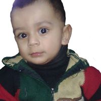 Bilal Niazi Photo 12