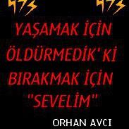 Orhan Avci Photo 4