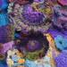 Darlene Crochet Photo 7
