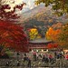 Autumn Temple Photo 8