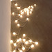 Felix Gonzalez Photo 11