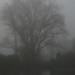 Misty Nottingham Photo 7