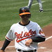 Robert Oriole Photo 3