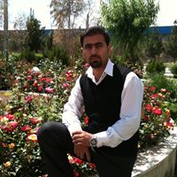 Mehdi Mehdizadeh Photo 4