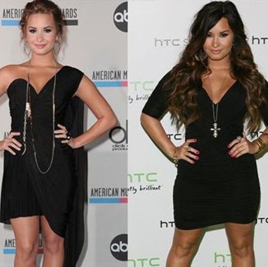 Debi Lovato Photo 4