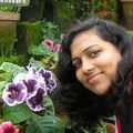 Nisha Cherian Photo 15