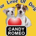 Candy Romeo Photo 16