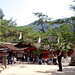 Karl Miyajima Photo 1