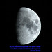 Aguirre Luna Photo 6