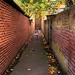 Autumn Alley Photo 8