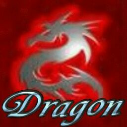 Dragon Lee Photo 20