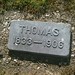 Thomas Born Photo 11