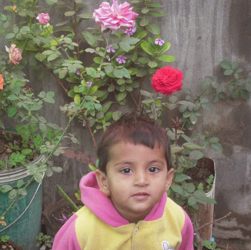 Chandni Agrawal Photo 18