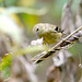 Stephen Goldfinch Photo 9