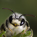 Andrena Brown Photo 7