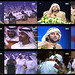 Abu Mohammed Photo 17