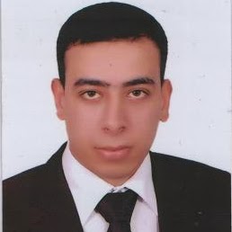 Mohamed Elhenawy Photo 7