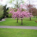 Blossom Vernon Photo 12