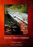 Brook Trout Forest