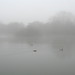 Misty Nottingham Photo 8