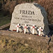 Freda Chase Photo 6