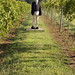 Bill Vineyard Photo 12